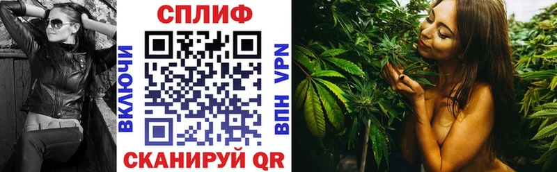 Конопля планчик  Купить где  Казань